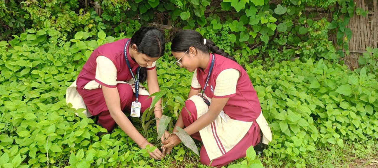 Plant Today, Breathe Tomorrow